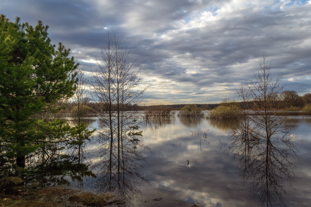 Половодье - Сергей Цветков