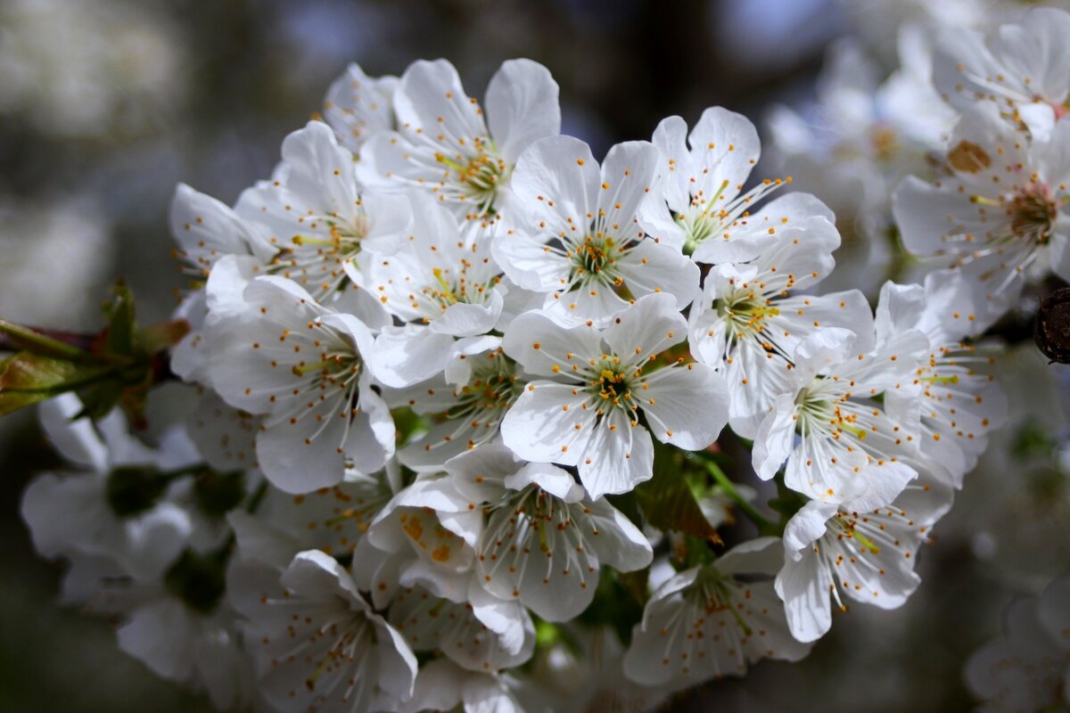 Доброе утро - Юрий. Шмаков
