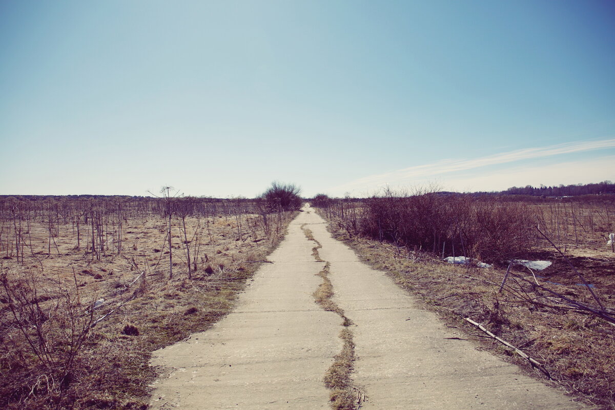 прочее - Денис Безногов