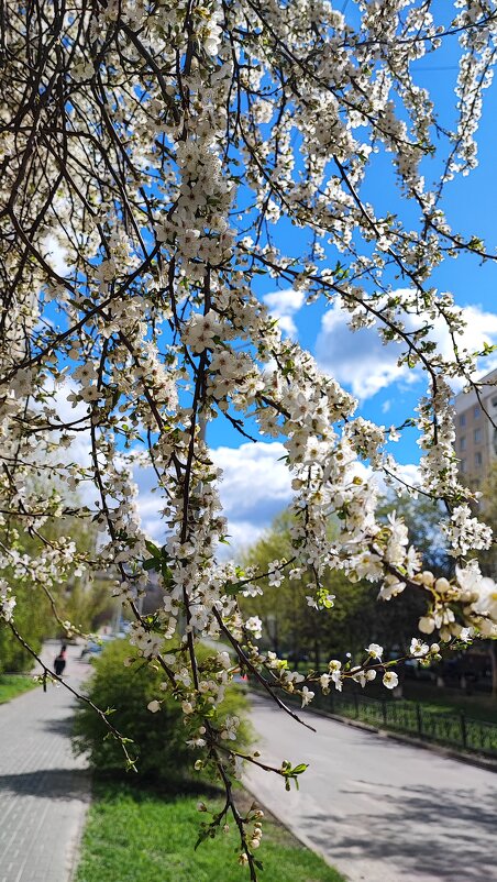 ,,, - Сергей Тимоновский