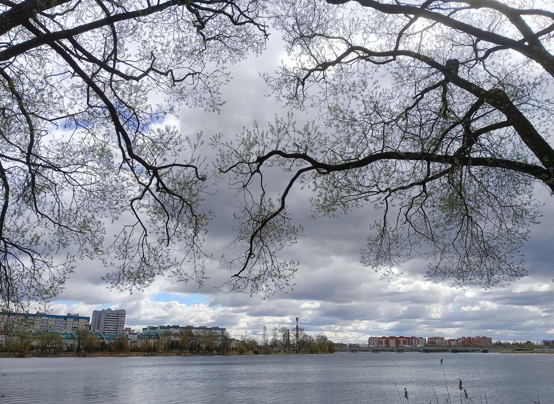 Узорность на фоне тучи - Мария Васильева