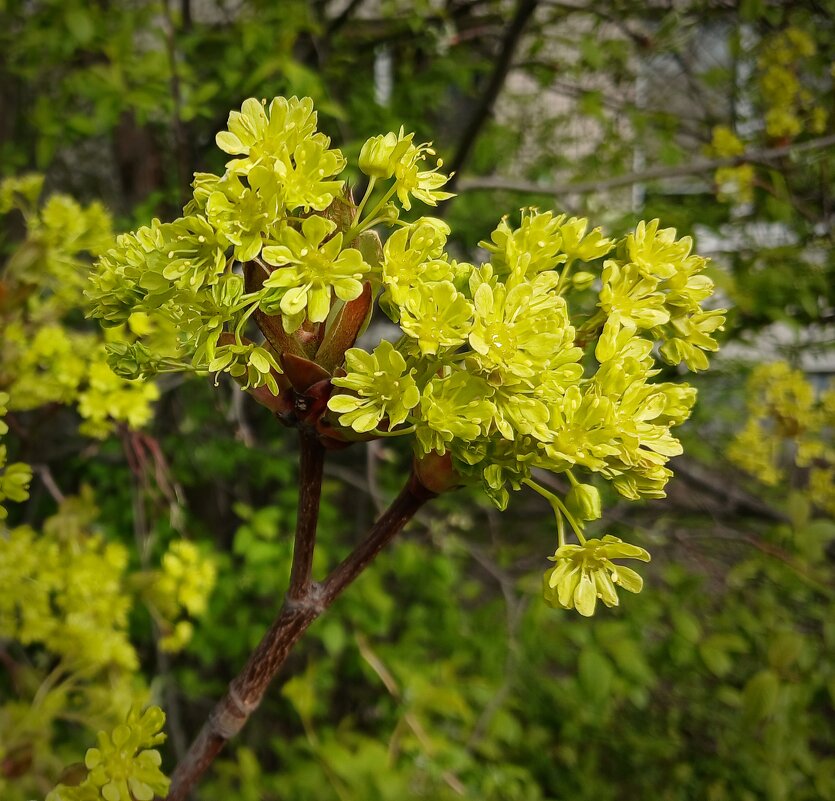 Апрель - Наталья Герасимова