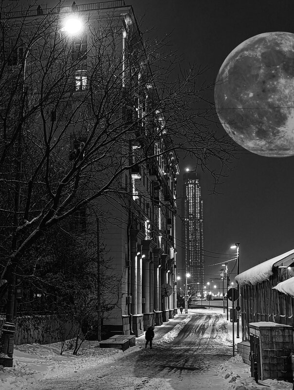 Морозный блюз. - Alexandr Gunin