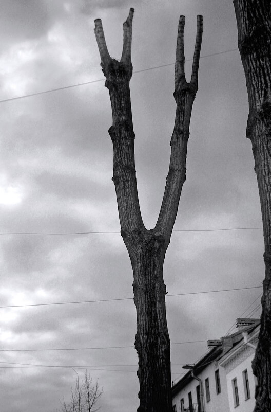 *** - Сергей Григорьев