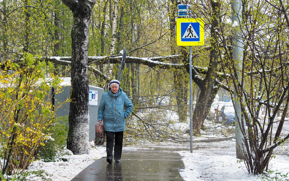 Непогода в Городе - юрий поляков