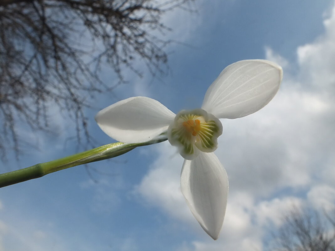 ** - Зоя Мишина