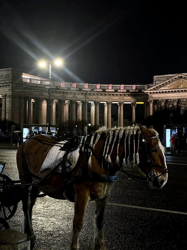 Прогулка по вечернему Петербургу - Елена 