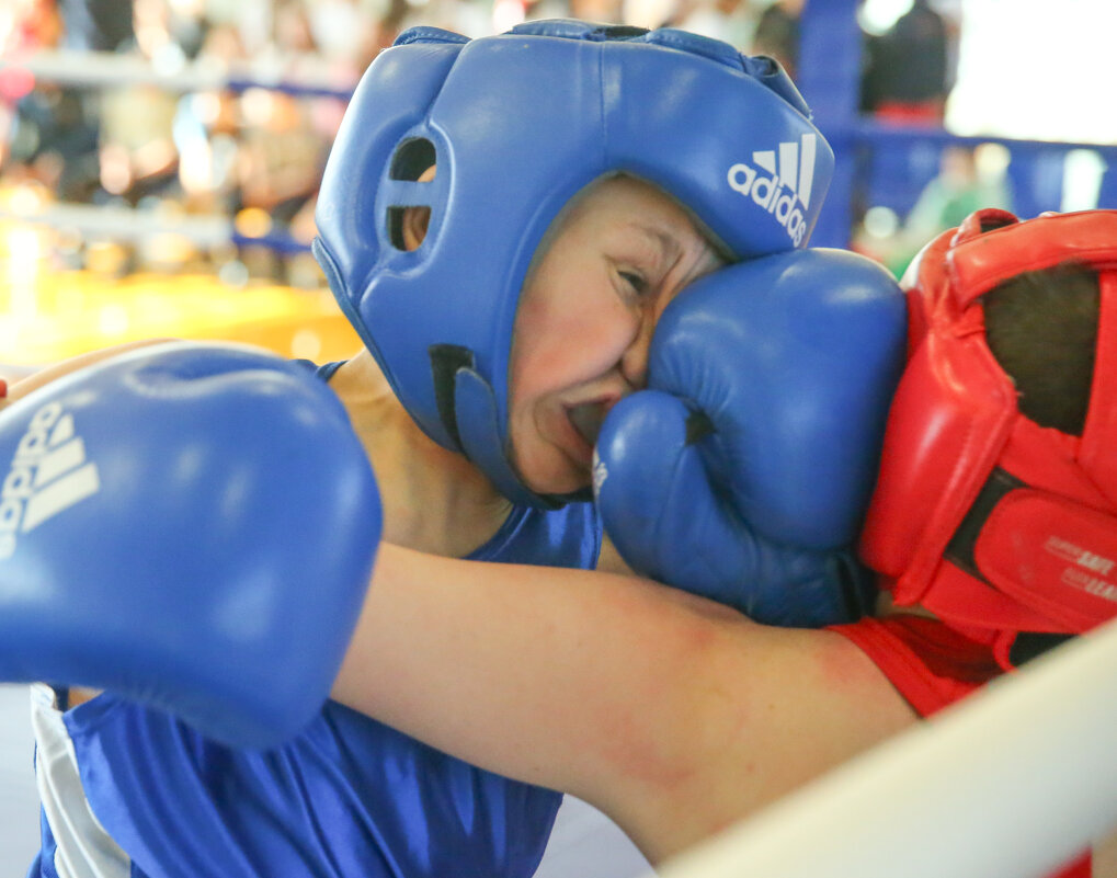 бокс - александр 