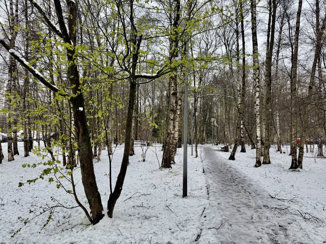 В юном месяце апреле… - Любовь 