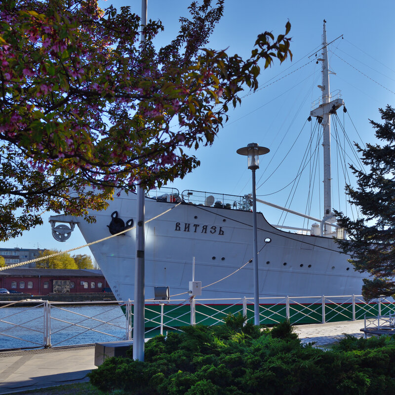 "Витязь". - Константин Белоногов