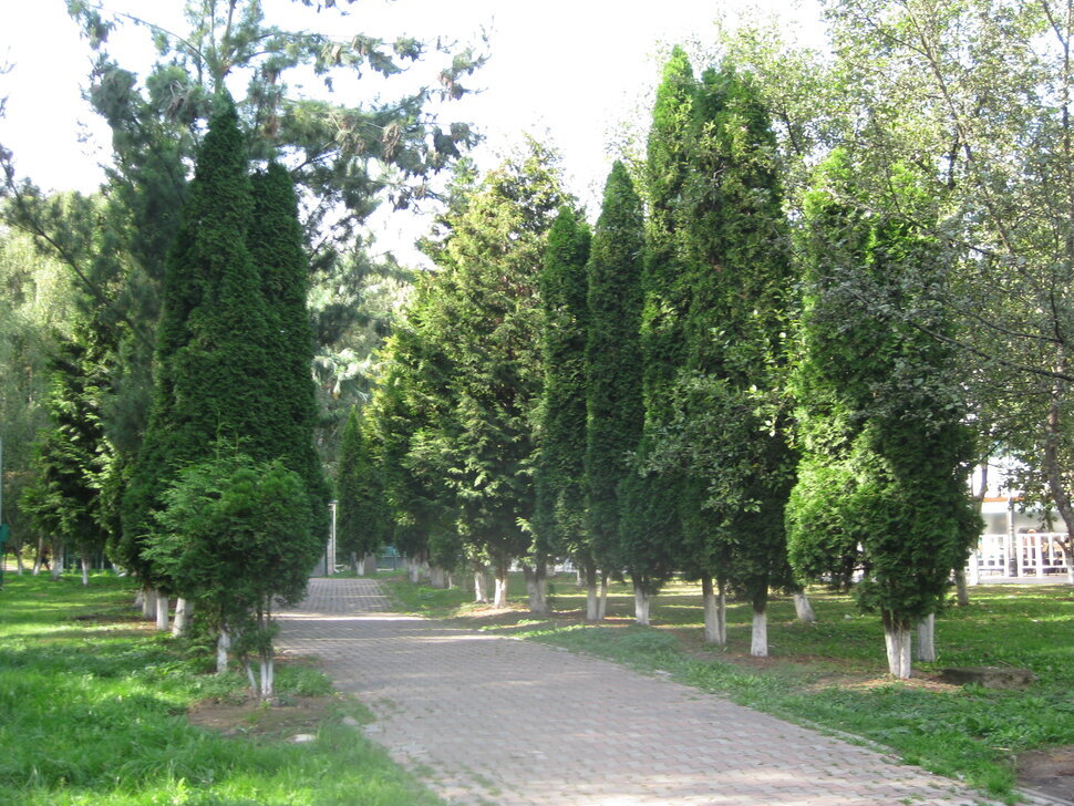 Дорожка в парке - Дмитрий Никитин