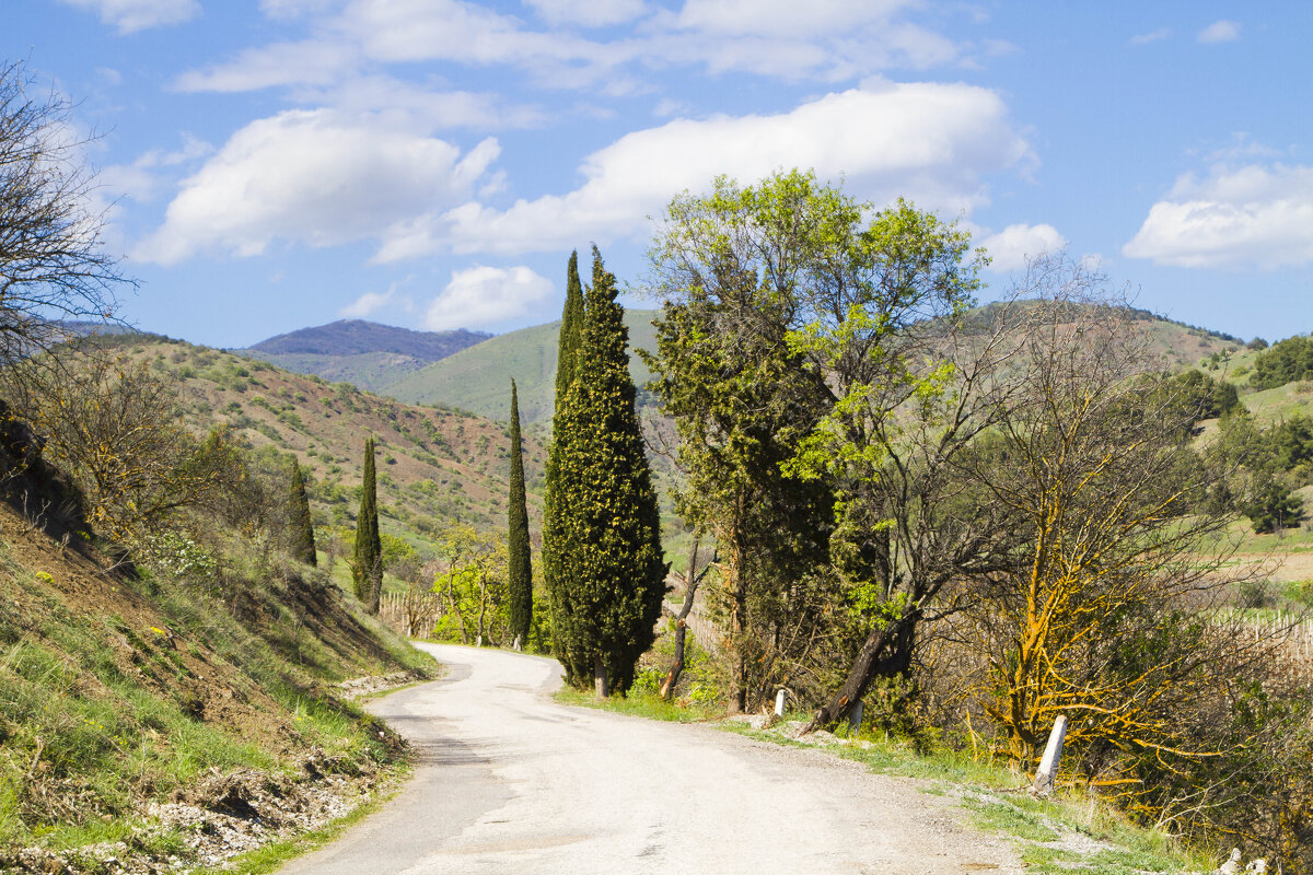 Дорога с кипарисами - Геннадий Валеев