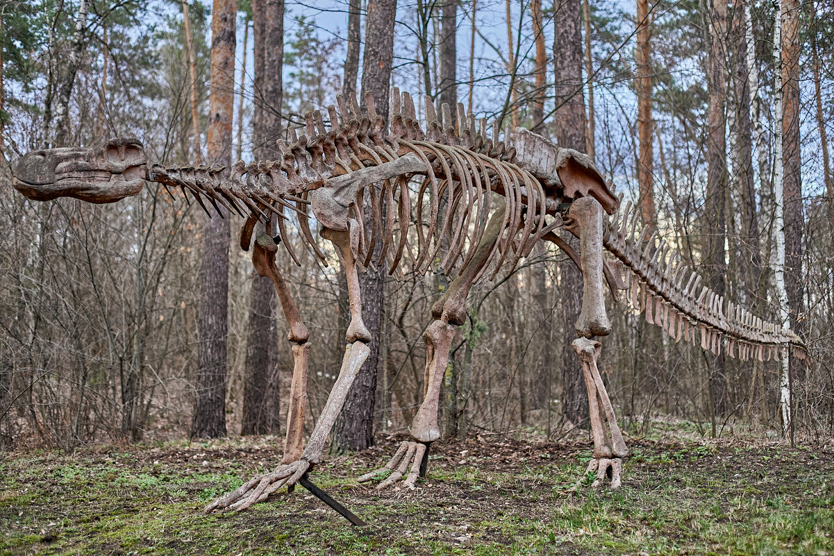 Дино Парк - Александр Леонов