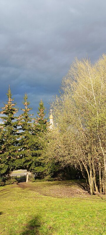 Храм в тени деревьев - Оксана Корзун