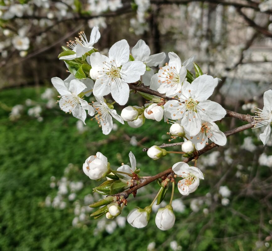 Апрель - Наталья Герасимова