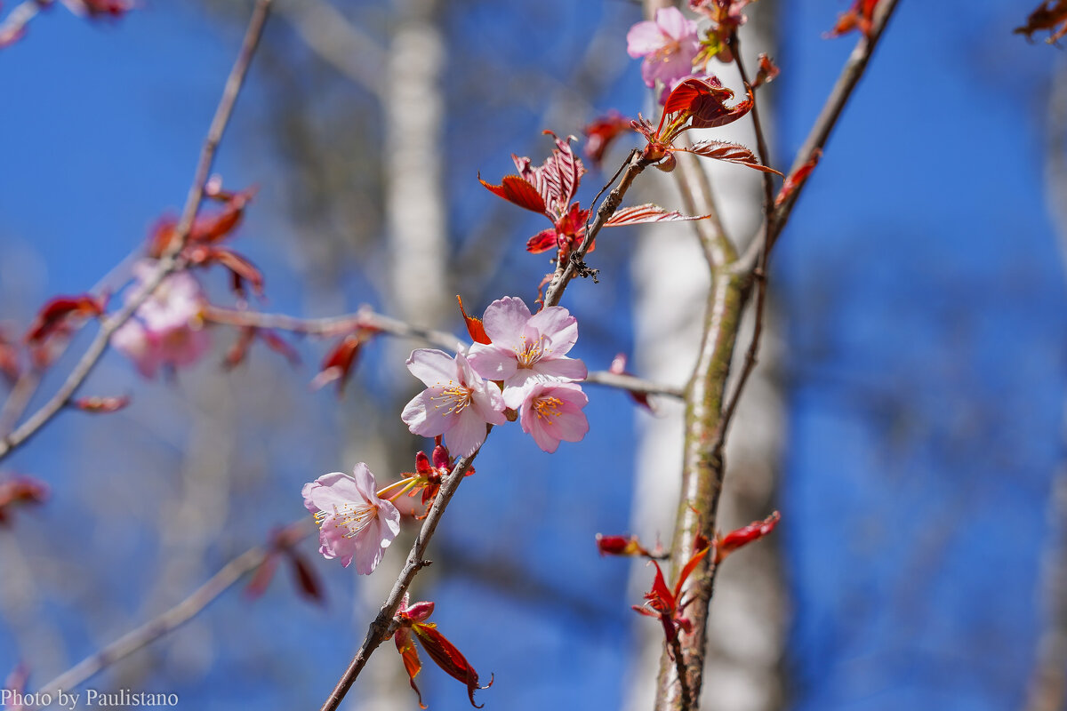 Пробуждение... - Владимир Жданов