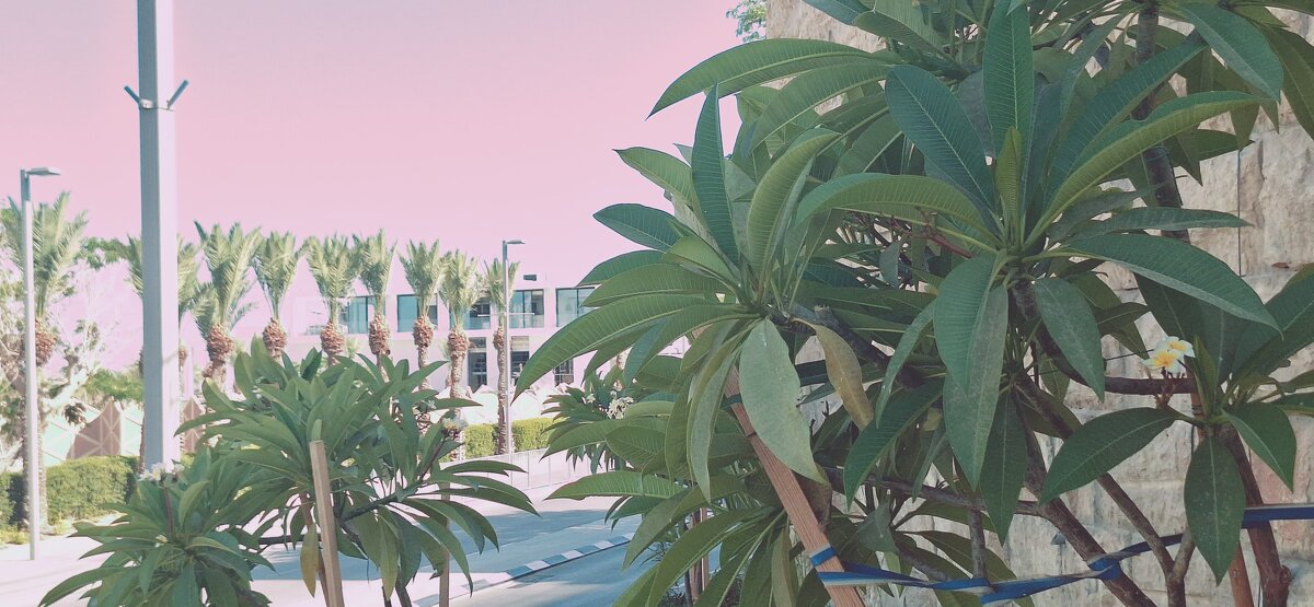 14  КЛОС (139) - CLOSE WAYS ALL