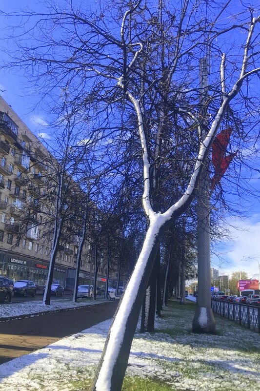 к майским праздникам готовы - zavitok *