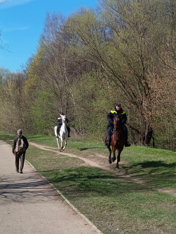 Погоня - Андрей Лукьянов