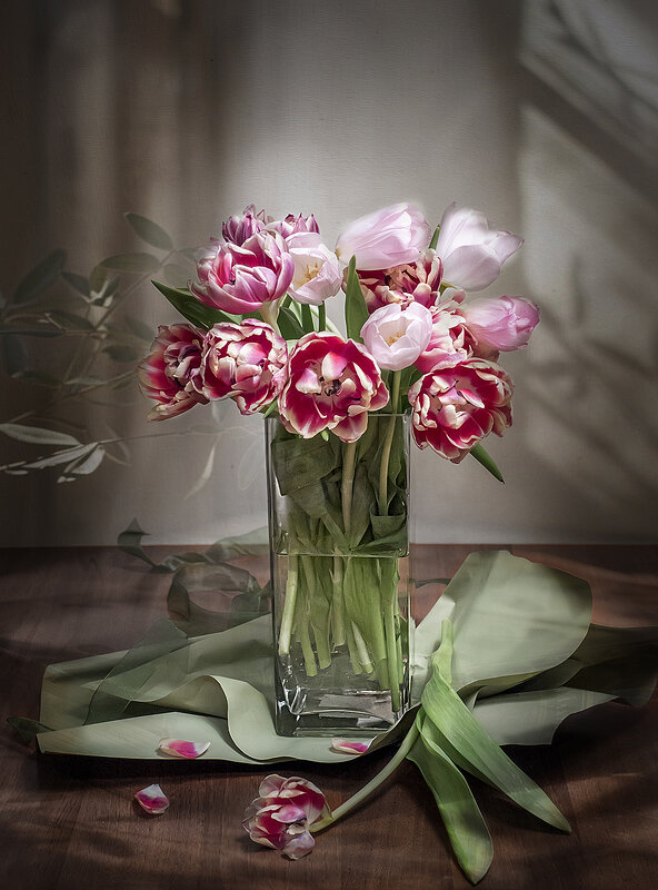 Тюльпаны. - Bosanat 