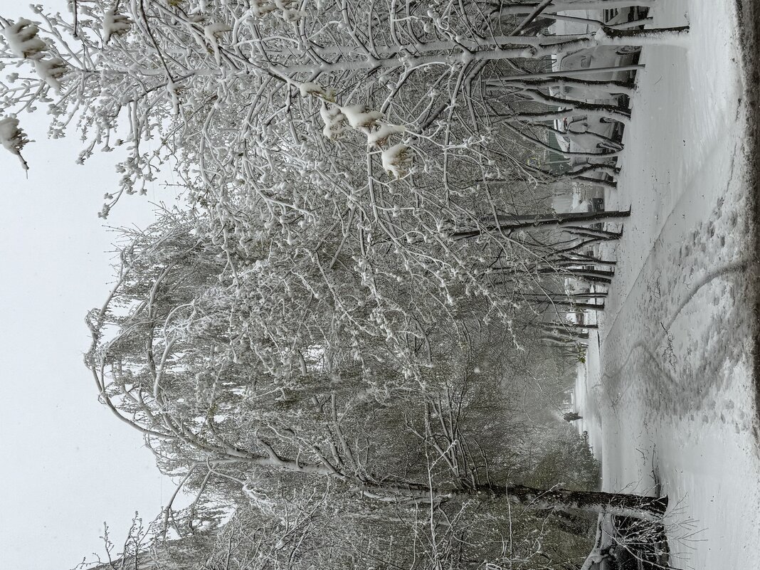 Снег в апреле - Pippa 