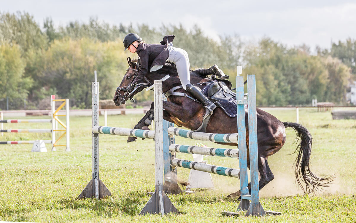 Конкур - SanSan 