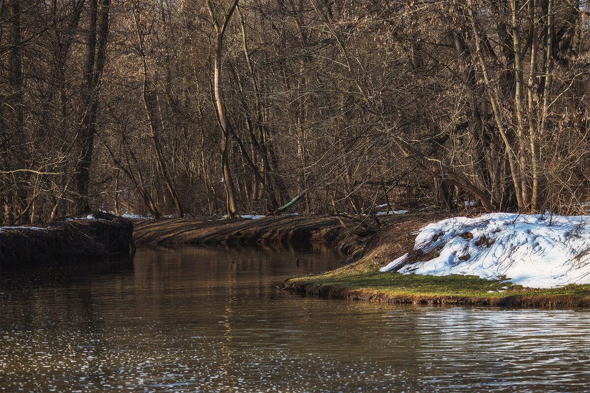 шаги весны - Michel 