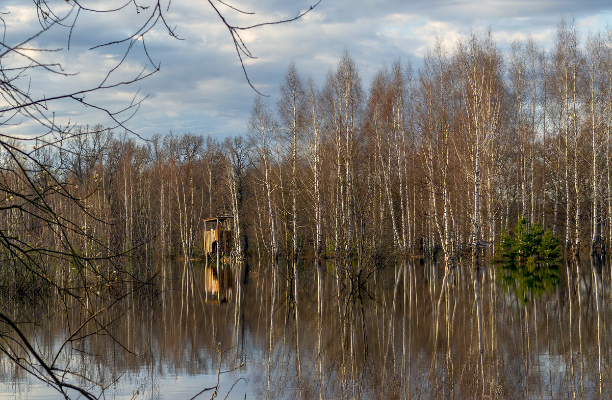 Затопило - Сергей Цветков