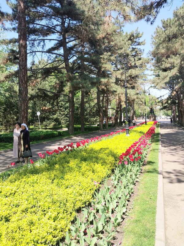 Almaty. - Murat Bukaev 