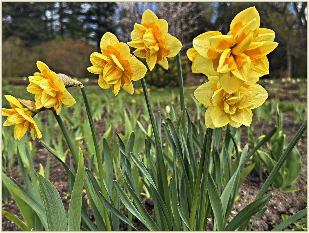 ***** - Валерия Комова