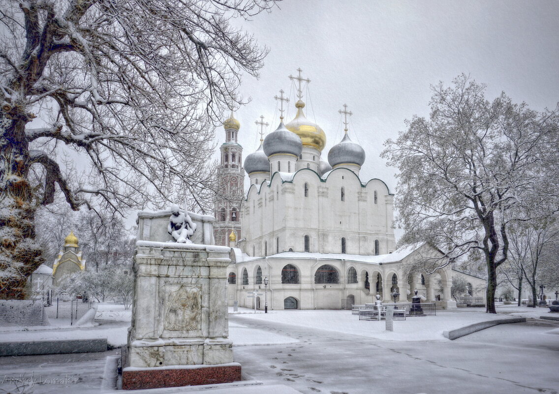 Новодевичий монастырь - Andrey Lomakin