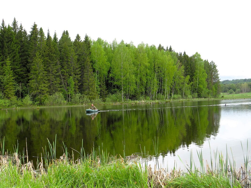 С рыбалки - Лариса С.