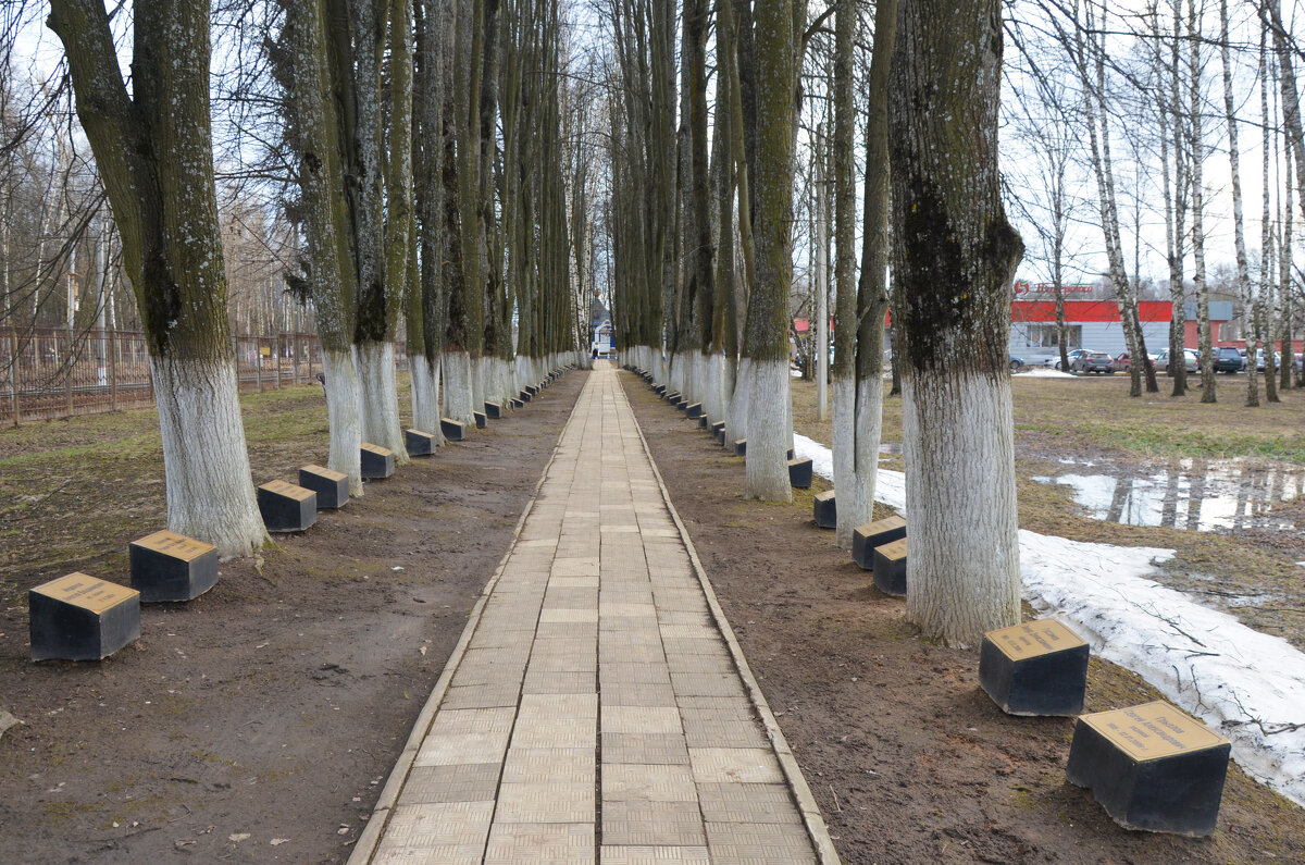 Московская область. Ашукино. Аллея памяти в честь бойцов Софринской бригады. - Наташа *****