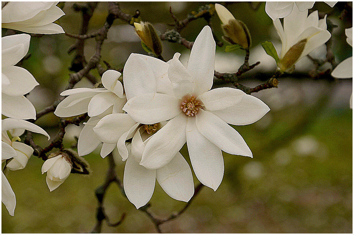 Как прекрасен этот Мир - Aleksandr Gal