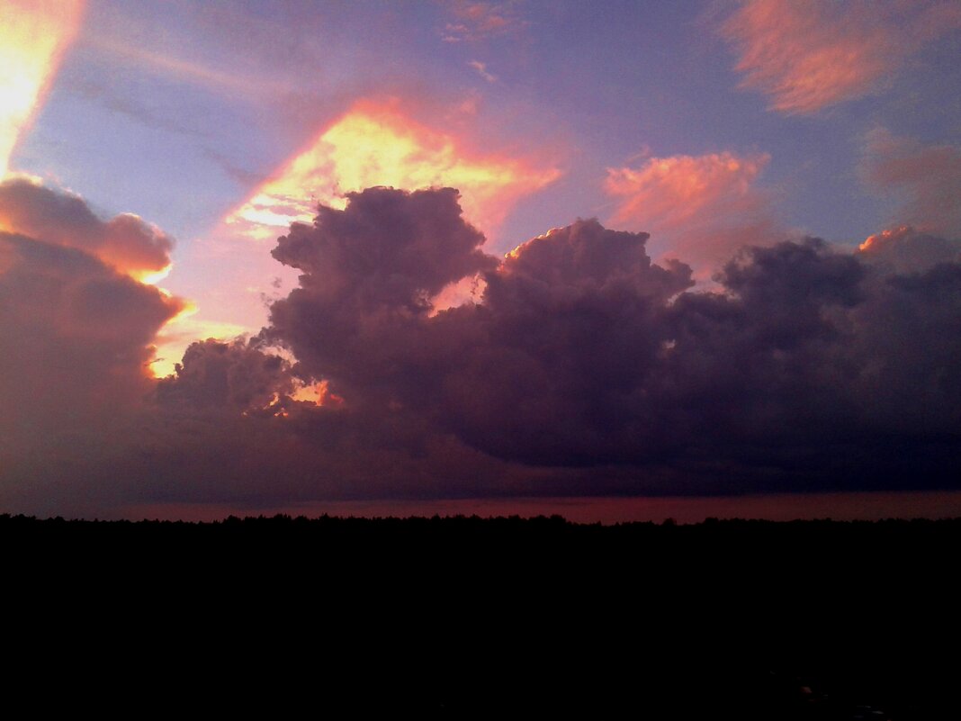 существа блаженствуют - Владимир 