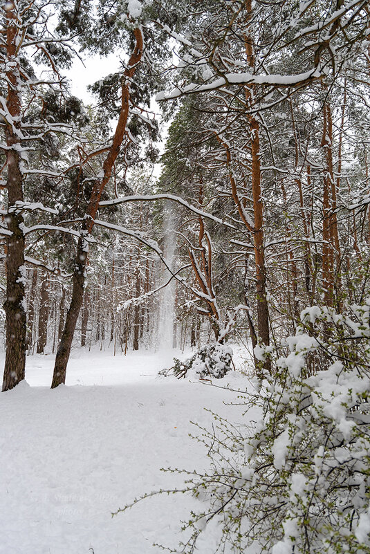 Зима в апреле - Александр Синдерёв