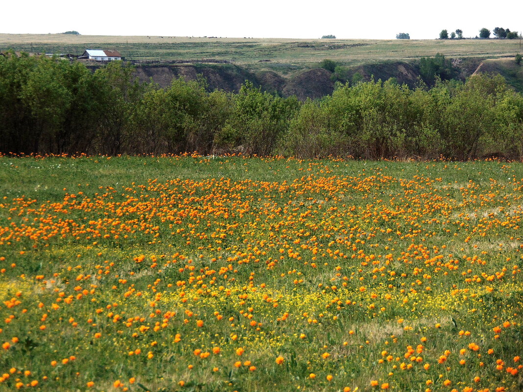 ОДИНОКИЙ ДОМИК НА КРАЮ ОБРЫВА. - nadyasilyuk Вознюк