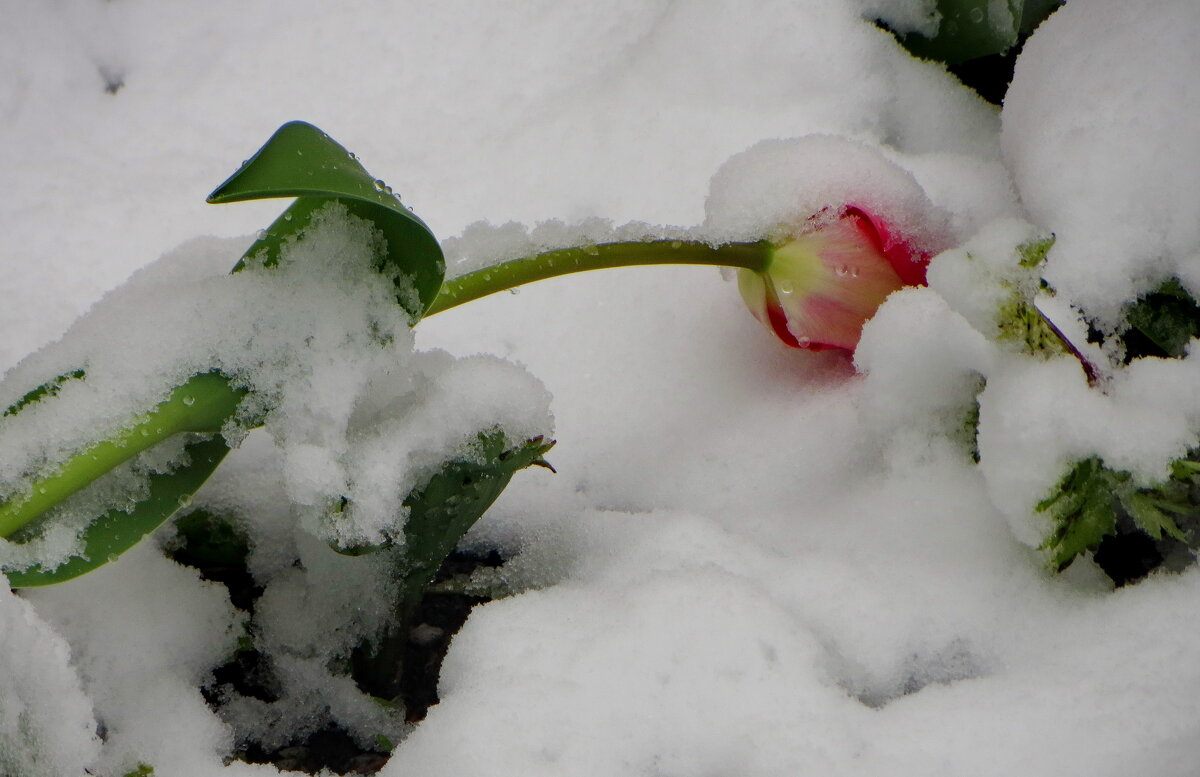 Утопился... - Александр Чеботарь