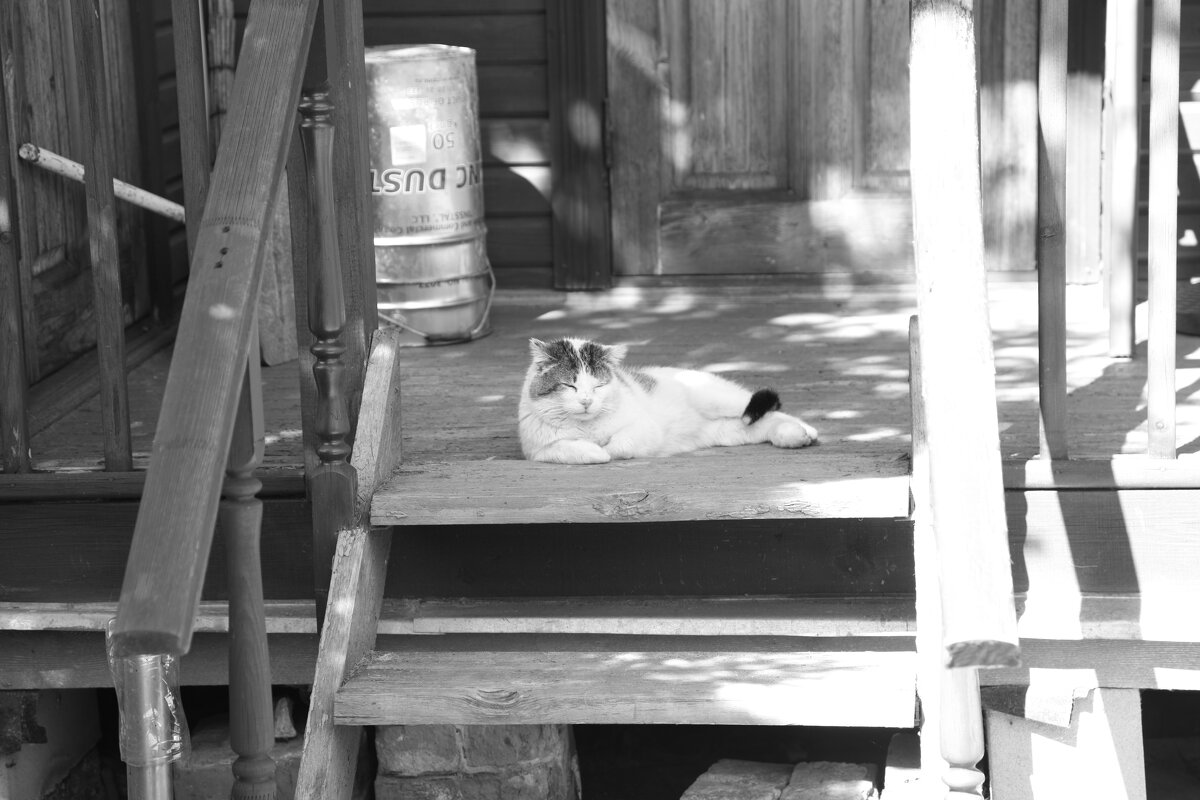 Мечты о ч/б Лейке 113. - Михаил Елочкин