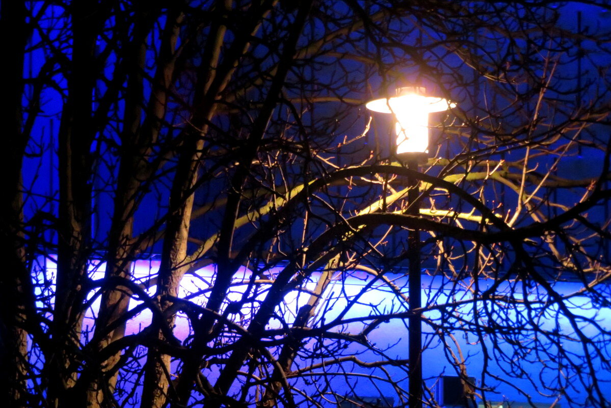 У фонаря. - Егор Бабанов