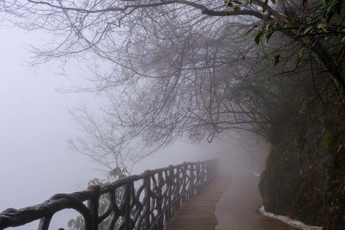 Пешком по горам и туману - Георгий А