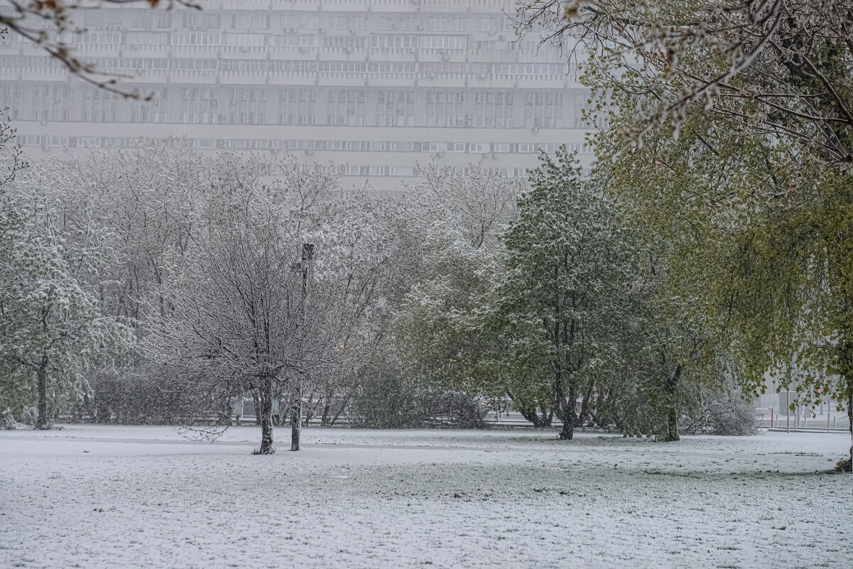 Не май. - Николай 