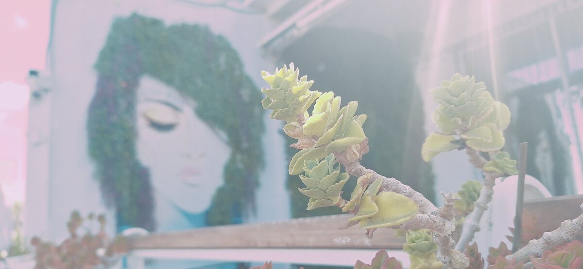 14  КЛОС (142) - CLOSE WAYS ALL