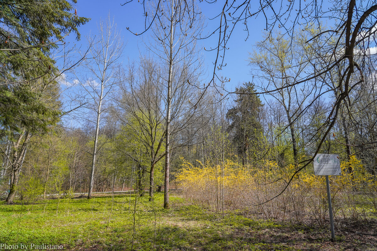В весеннем парке... - Владимир Жданов