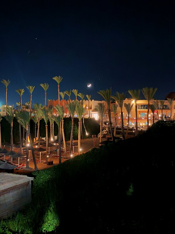 Восточная ночь - Виктор Савельев