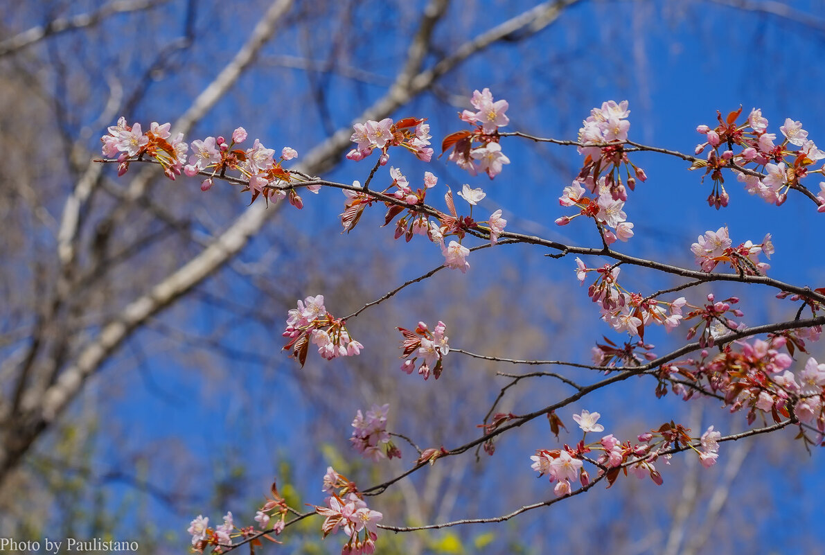 Палитра апреля... - Владимир Жданов