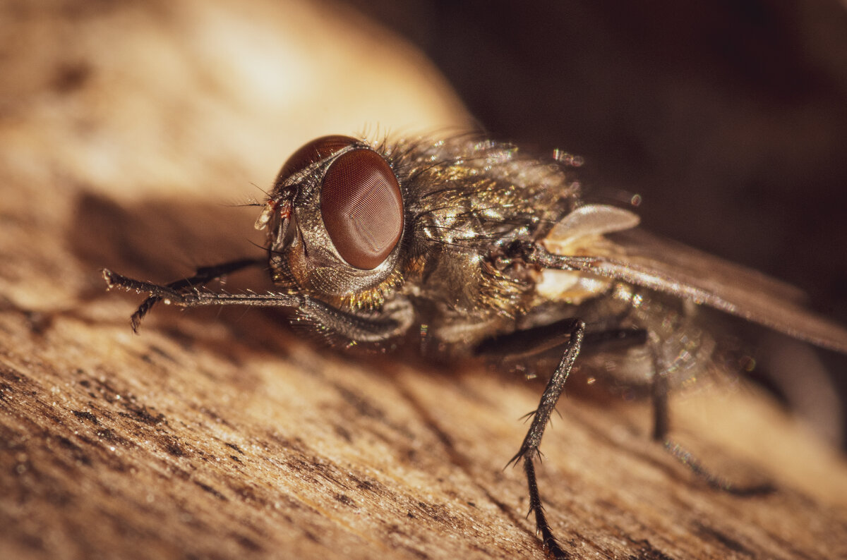 Мойте руки перед едой - Игорь 