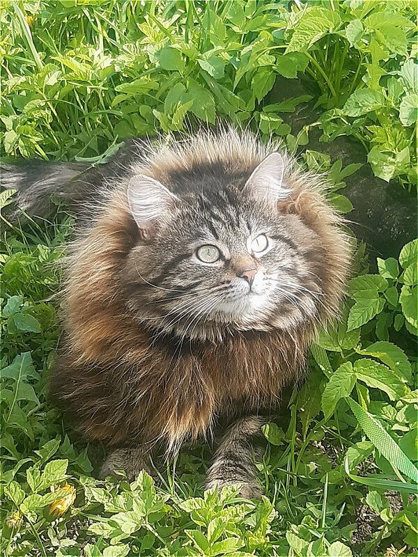 Взгляд в даль! - Нина Андронова