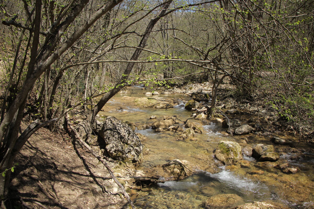 Неторопливая весна... - Дмитрий А