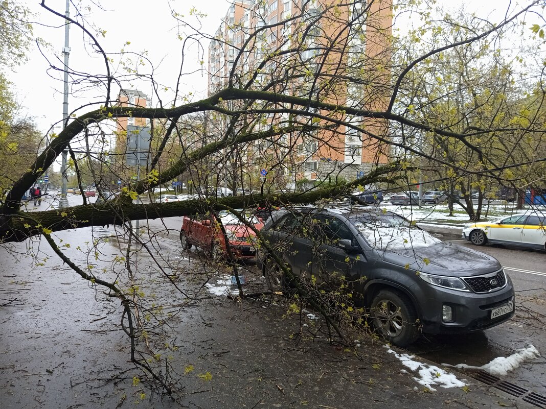 И нас не обошла сия чаша. Но здесь еще и повезло - Андрей Лукьянов